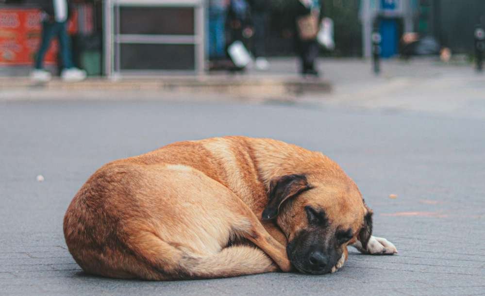 Meditation Can Improve Your Sleep